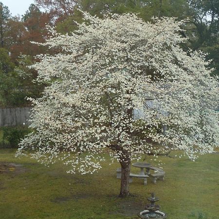 Swainsboro Edenfield House Bed & Breakfast エクステリア 写真
