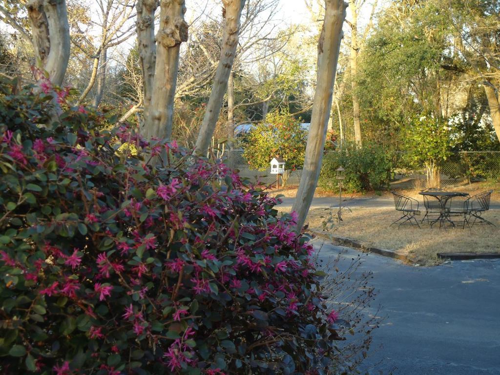 Swainsboro Edenfield House Bed & Breakfast エクステリア 写真